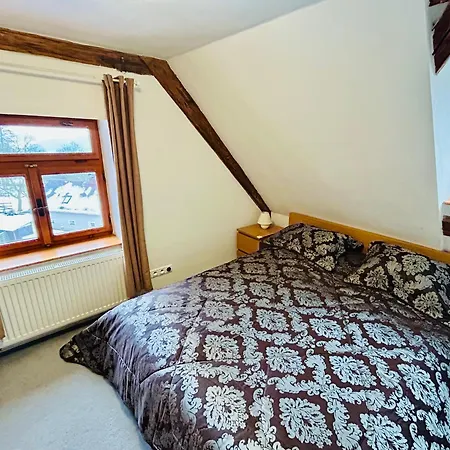 Krusne Hory Erzgebirge Wellness Dvur Stran Karlovy Vary