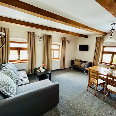 Krusne Hory Erzgebirge Wellness Dvur Stran Apartment *
