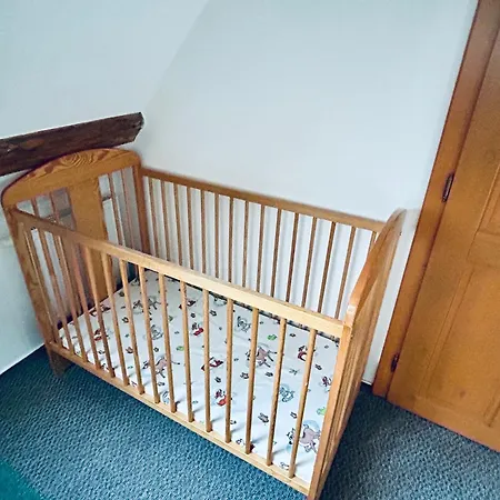 Krusne Hory Erzgebirge Wellness Dvur Stran Apartment *