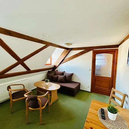 Krusne Hory Erzgebirge Wellness Dvur Stran Apartment