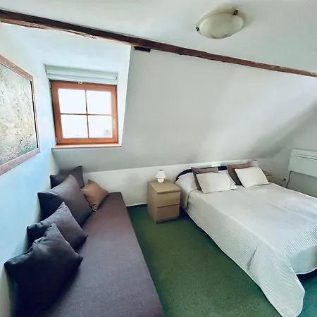 Krusne Hory Erzgebirge Wellness Dvur Stran Apartment *