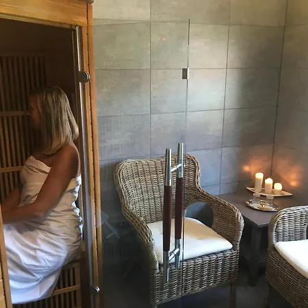 דירה Krusne Hory Erzgebirge Wellness Dvur Stran *