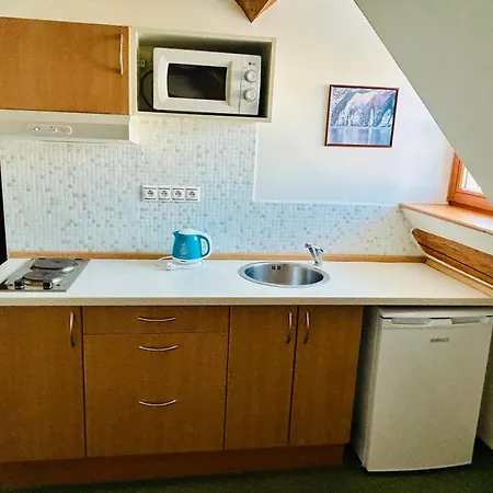 Krusne Hory Erzgebirge Wellness Dvur Stran Appartement *