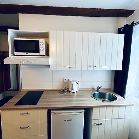 Krusne Hory Erzgebirge Wellness Dvur Stran Appartement Karlsbad
